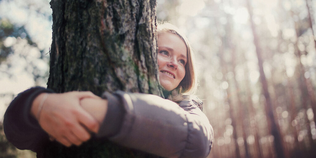 Eine Person umarmt einen Baum in einem sonnigen Wald.