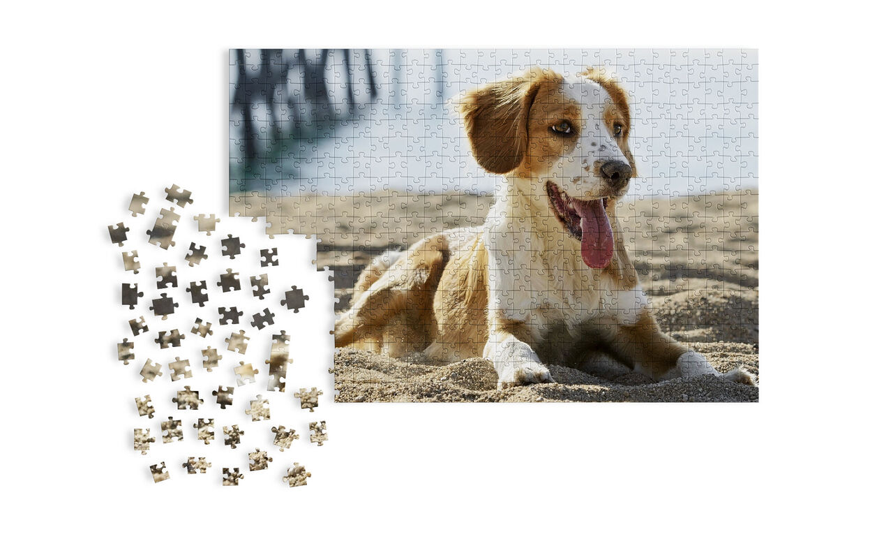 Puzzle mit einem Hund im Sand am Strand, im Vordergrund sind Puzzlestücke verteilt