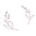 Zarte Blumenillustrationen mit feinen Details und Blättern